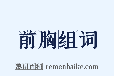 前胸组词是什么意思的图片